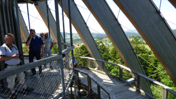 Bayerischer Wald