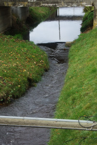 Wasserrohrbruch - Neuschwetzingen